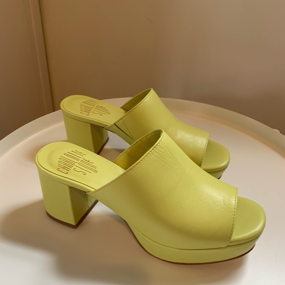 Charlotte Stone Mules